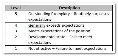 Sample Performance Level Descriptions - Performance Pro